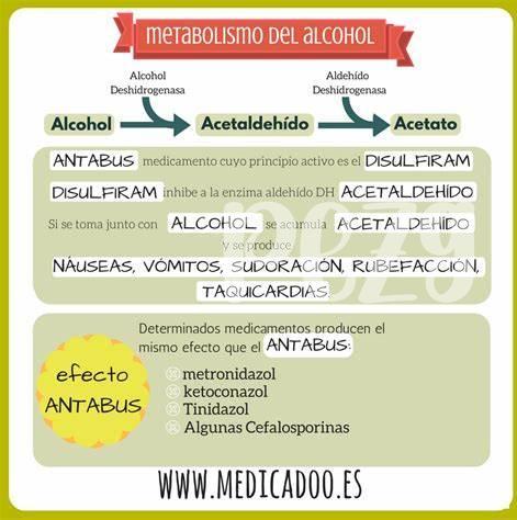 Desmitificando El Efecto Antabuse: Lo Que Necesitas Saber